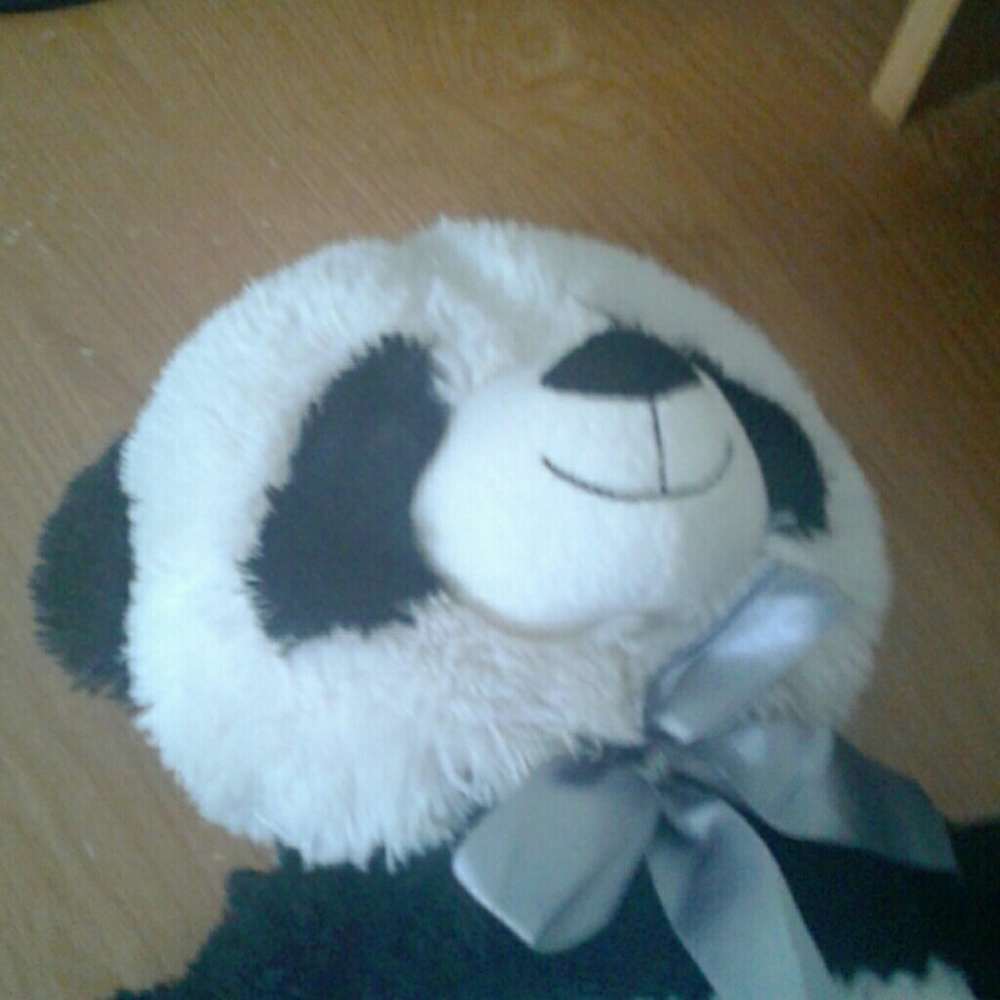 Toddler sized teddy